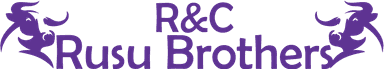 Rusu Brothers